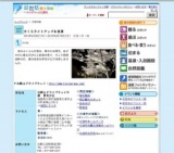 さくらライトアップ＆夜景