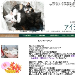フリーマーケットと猫の相談会