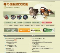 ツシマヤマネコの新たな個体が来園します