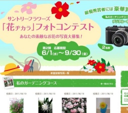 サントリーフラワーズ「花ヂカラキャンペーン」 フォトコンテスト コースを選んで写真を送ろう...