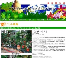 アデニウム コレクション展