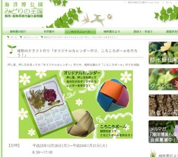 植物のクラフト作り「オリジナルカレンダー作り、ころころボールを作ろう！」