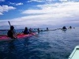 平日アウトドア　本格シーカヤック体験ツアーin湘南　　アウトドア社会人サークルFEAD