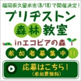 ブリヂストン 森林教室 in エコピアの森 参加者募集中！