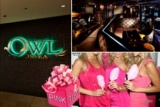 【梅田300名】5月25日(土) PINK PARTY