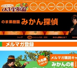 みかんの樹1本分プレゼント