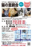 NPO法人おおさかねこネット　猫の里親会