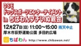保護犬を家族に迎える譲渡会「ちばわん　DSEドッグスポーツエンターテイメントinプチいぬ親会」
