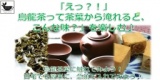 8/6(土)新宿「えっ？！烏龍茶って茶葉から淹れると、こんな味だったの？」を楽しむ♪ミニセミナー