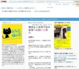 2月26日(日)猫の譲渡会 みなと猫の会主催