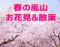 旬スポット体験＆遊べて楽しいイージー婚活♪男女グループで行く♪春の嵐山お花見デートで気軽な...