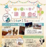 ニャンとも幸せ譲渡会