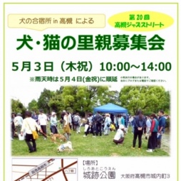 犬・猫の里親募集会