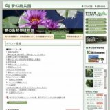 ハーブの台所石けん作り