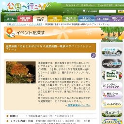 名石と水がおりなす清澄庭園〜晩秋の夕べ（ライトアップ）〜