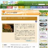 名石と水がおりなす清澄庭園〜晩秋の夕べ（ライトアップ）〜