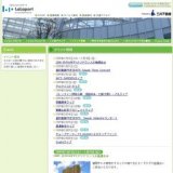 JAY'S GARDENライブ