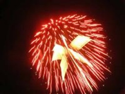 小坂田公園納涼花火大会