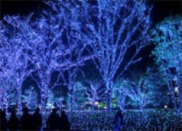 佐野アウトレット&イルミネーション日帰り合コンバスツアー