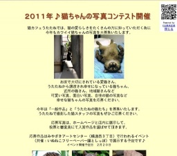 猫ちゃんの写真コンテスト作品募集