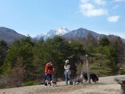 第1回清里ワンワンウォーク（東日本大震災チャリティーウォーク）
