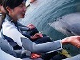 祭日イベント　ドルフィンスイム＆温泉＆美味いものツアー　　アウトドア社会人サークルFEAD