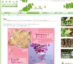 植物のクラフト作り「メッセージカードを作ろう、アダンでコースターを作ろう！」