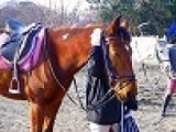 平日アウトドア　本格乗馬体験　　アウトドア社会人サークルFEAD