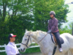 平日アウトドア♪本格 乗馬体験  社会人サークルFEAD