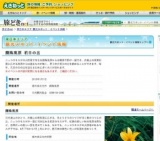 霧降高原 初日の出