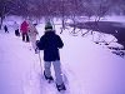 【平日アウトドア!ガイドさん同行♪スノーシュートレッキングin富士山】 社会人サークルFEAD