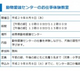 動物愛護センターのお仕事体験教室