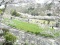 岩出花博 2016 春 【募集】