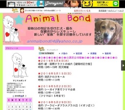 フリマ＆譲渡会