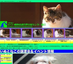 いぬねこの譲渡会