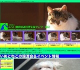 いぬねこの譲渡会