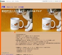 保護猫カフェ「ひめねこ」 