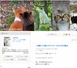 子猫の里親会＆一時預かりボランティア説明会