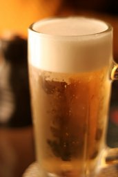 60代70代中心札幌駅前友達作り飲み会