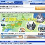 有明佐賀空港2,000Edyキャンペーン