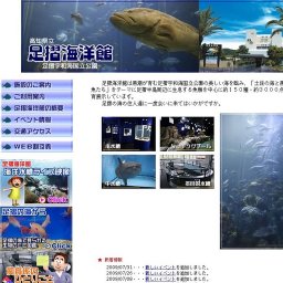 「華展(はなてん)part2〜華やかな海の生物たち」(〜８／３１)【土佐清水市】