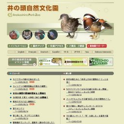 モクズガニの展示を始めました