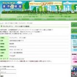 フリマ開催 でんでんタウン パラソル通り(恵美須町)