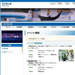 タパ・クロス作り体験