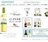 「ビニャ マイポを知ってください」キャンペーン