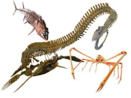 化石研究会　公開講演会　恐竜時代の海のモンスター