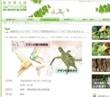 植物のクラフト作り「アダンで熱帯魚を作ろう！アダンでカメを作ろう」