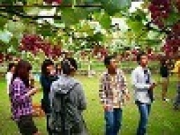 スペシャルイベント　ぶどう狩り＆温泉＆美味いものツアー 　アウトドア社会人サークルFEAD