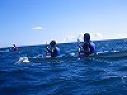 平日アウトドア！本格シーカヤック体験ツアーin湘南 * 社会人サークルFEAD *