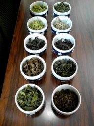 横浜お茶文化発信イベント「ヨコハマ TEA PORT TOWN PARTY 2012」